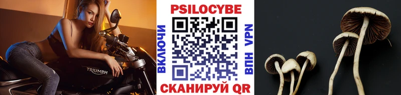 мориарти телеграм  ОМГ ОМГ как войти  Вельск  где продают наркотики  Псилоцибиновые грибы Magic Shrooms 